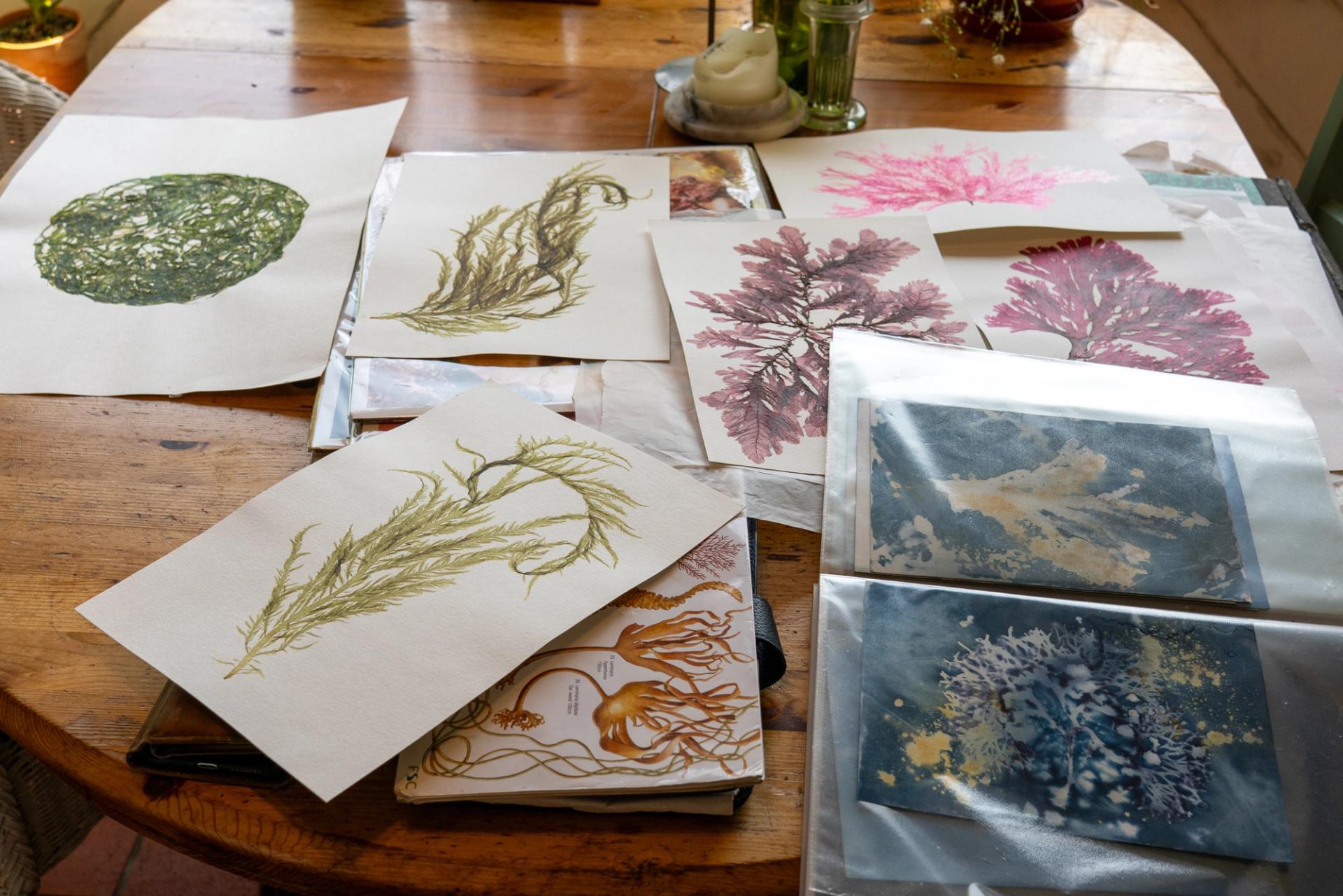 Seaweed artworks laid out on a table