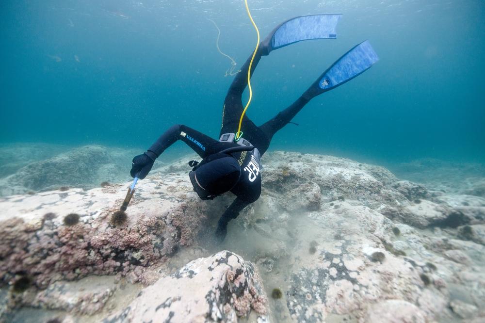 Karolina in Lofoten Smashing Urchins
