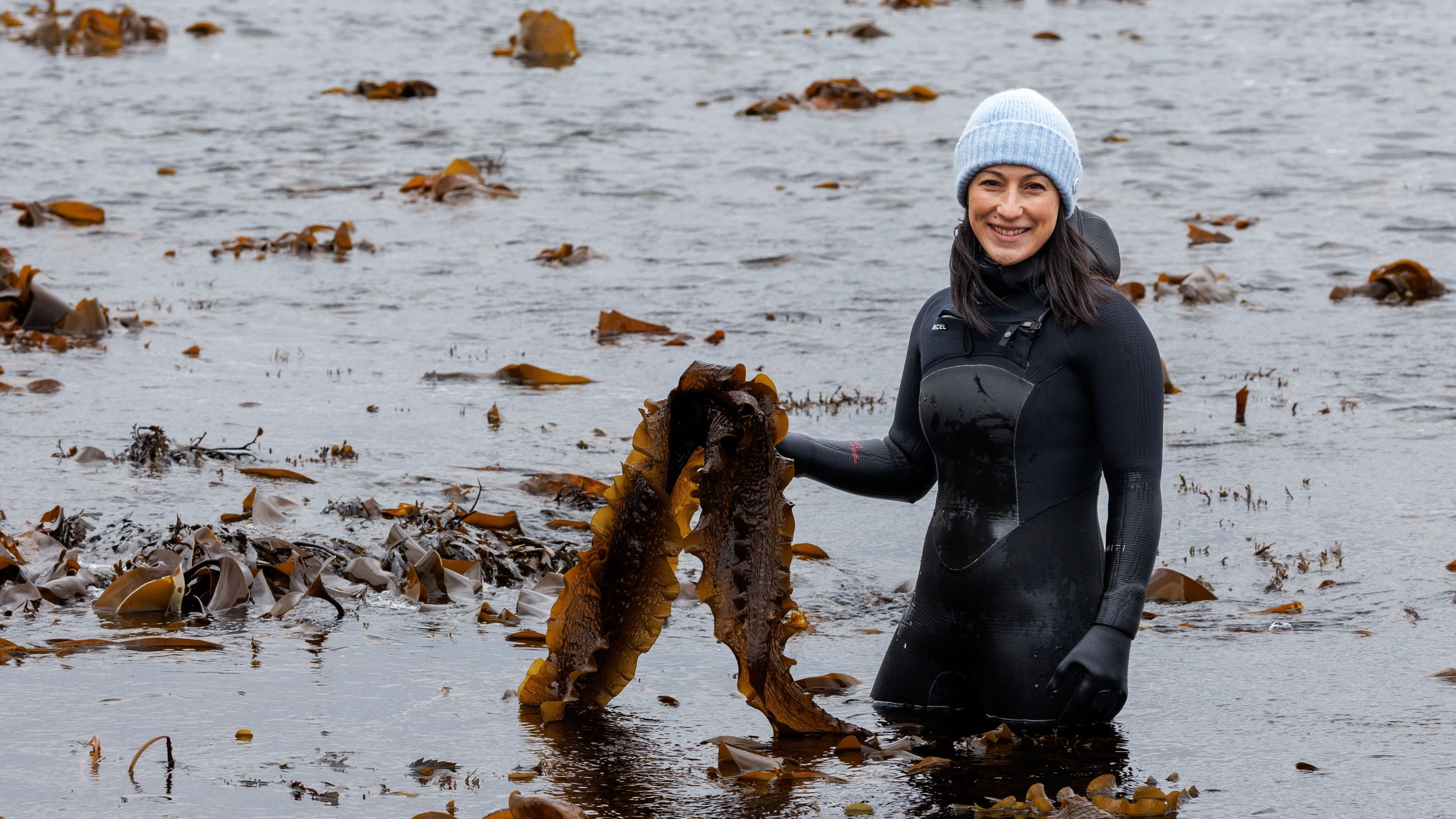 Tamara Singer harvesting seaweed in Lofoten.