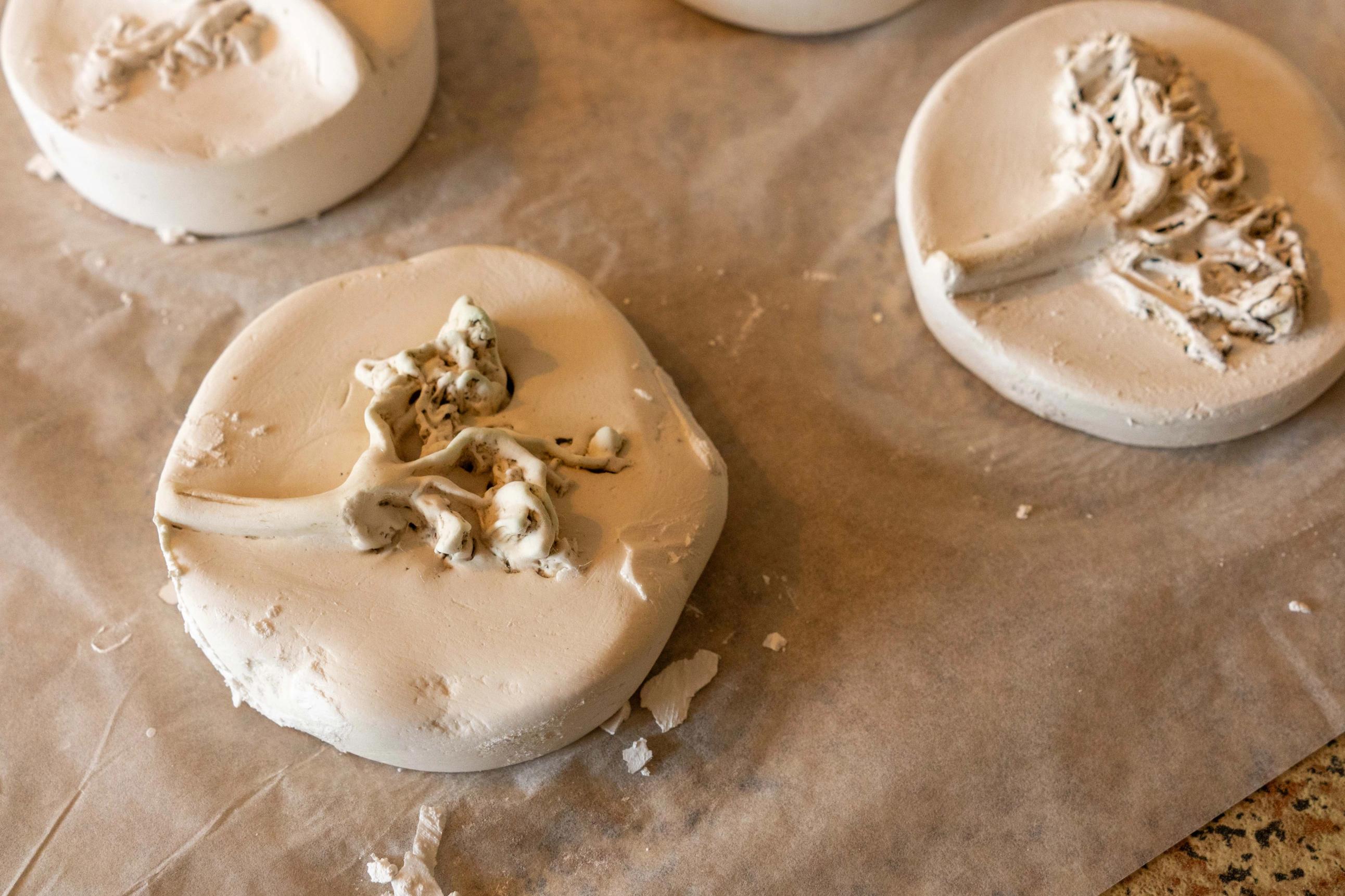 Plaster of Paris sculptures of seaweed holdfast