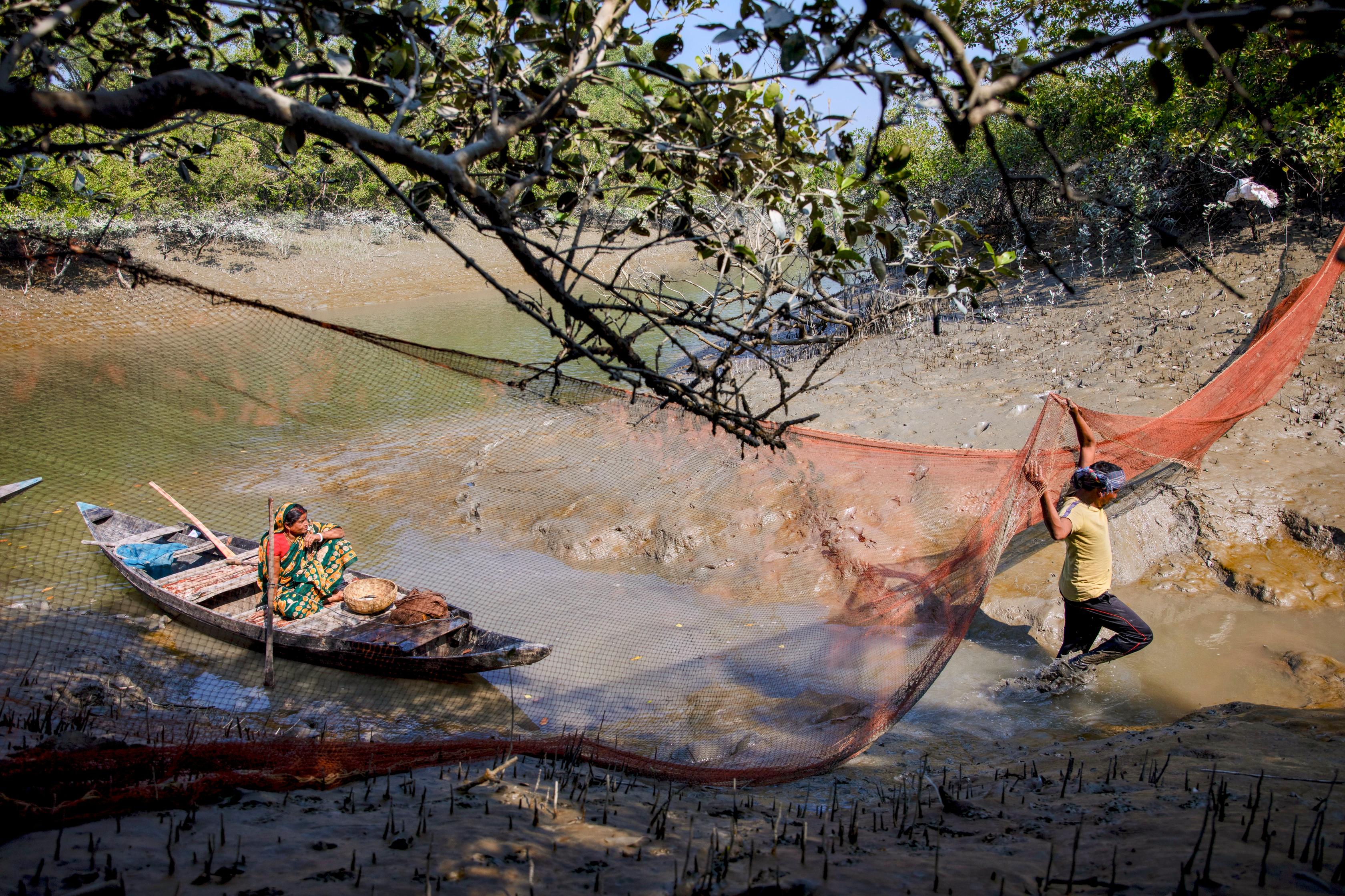 Fisherfolk in the Sundarbans