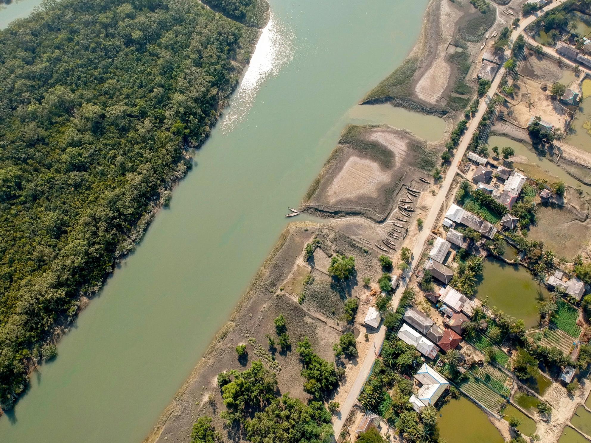 The edge of the Sundarbans, from above