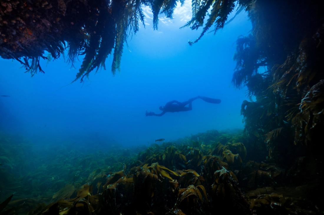 Underwater diver with a camera