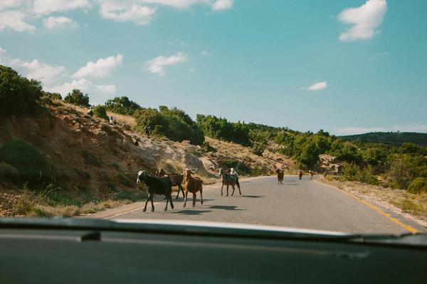 How Far is Athens from Peloponnese? Complete Travel Guide