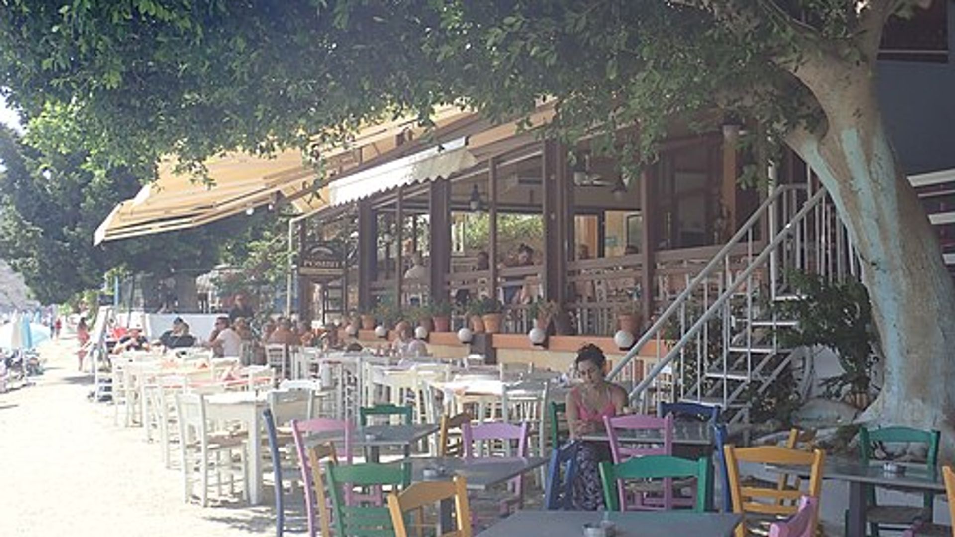 Best Restaurants in Tolo Greece: Dining Guide 2026