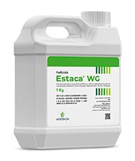 ESTACA® WG