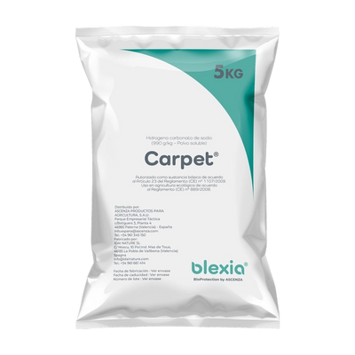 Carpet ®