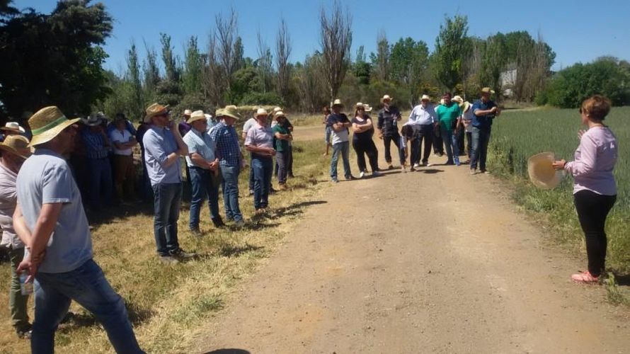 ASCENZA participa en una jornada de campo junto a su distribuidor Fitoduero