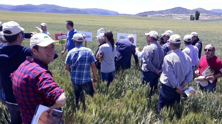 Agricultores de Burgos conocen el catálogo fitosanitario de ASCENZA junto a Agro Giménez Vélez