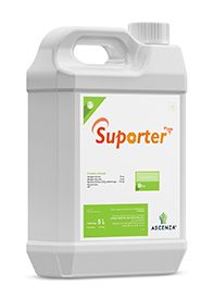 Suporter® Plus AF