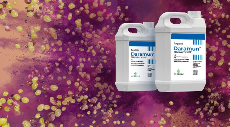 Sumamos Daramun ® a nuestro catálogo de fungicidas