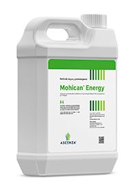 Mohican® Energy