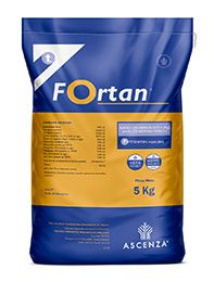 Fortan®