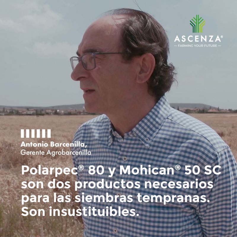 04AS_Verbatim_Cereal_AntonioB_PolarpecMohican_IG.jpg