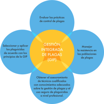 ASCENZA_IPM_Spain_PD_v01.png