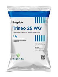 Trineo 25 WG ®