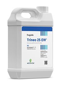 Trineo 25 EW ® 