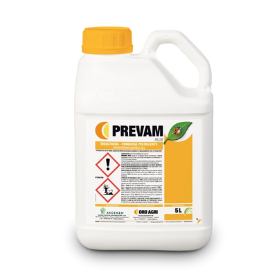 PREVAM ® PLUS