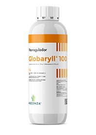 Globaryll® 100