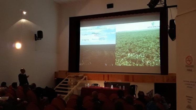 PRESENTAMOS LOS RESULTADOS DE UN ESTUDIO CON NUESTRAS SOLUCIONES NUTRICIONALES EN GUISANTE