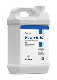 Placaje 25 SC®