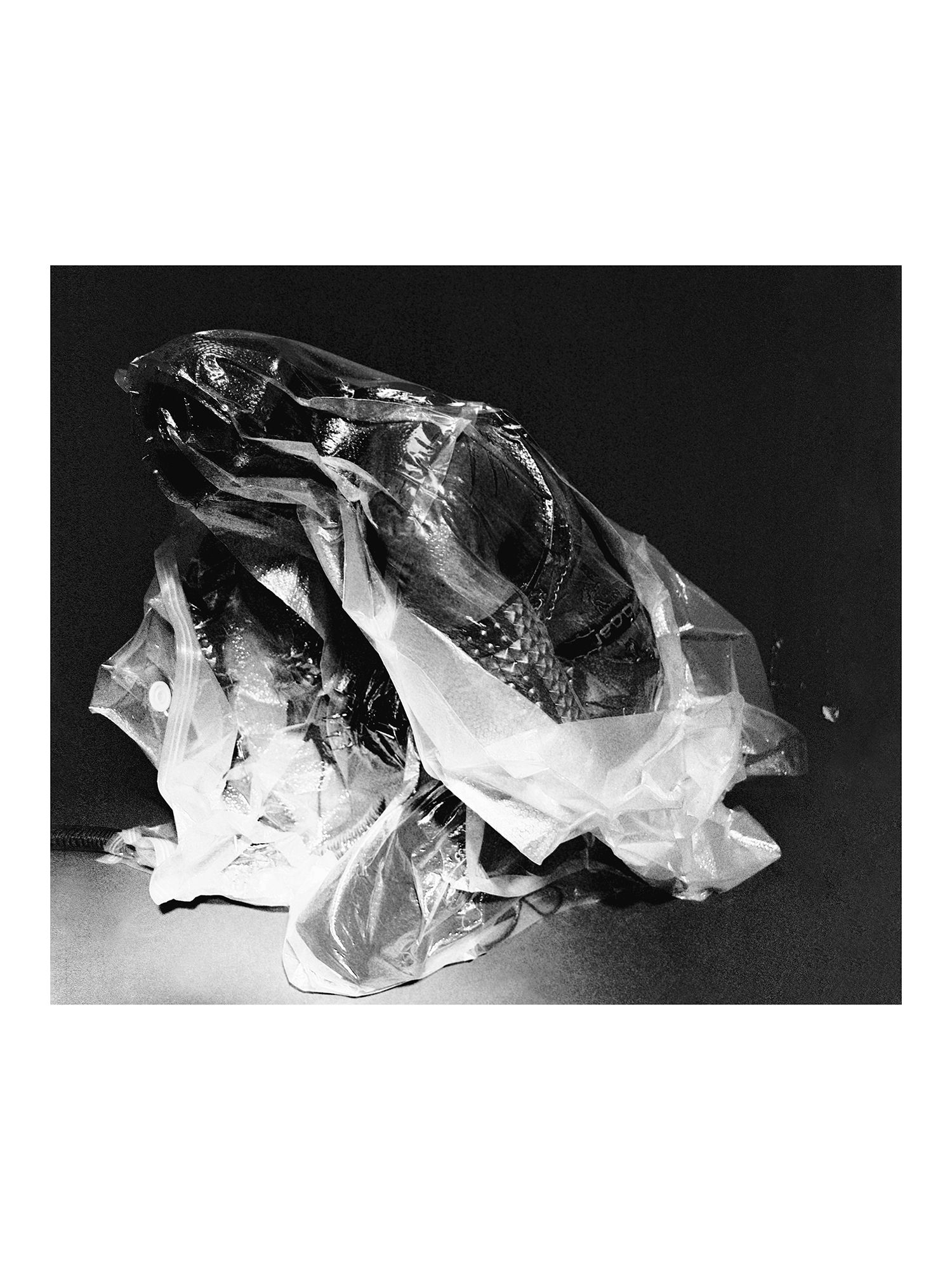 Untitled, 1