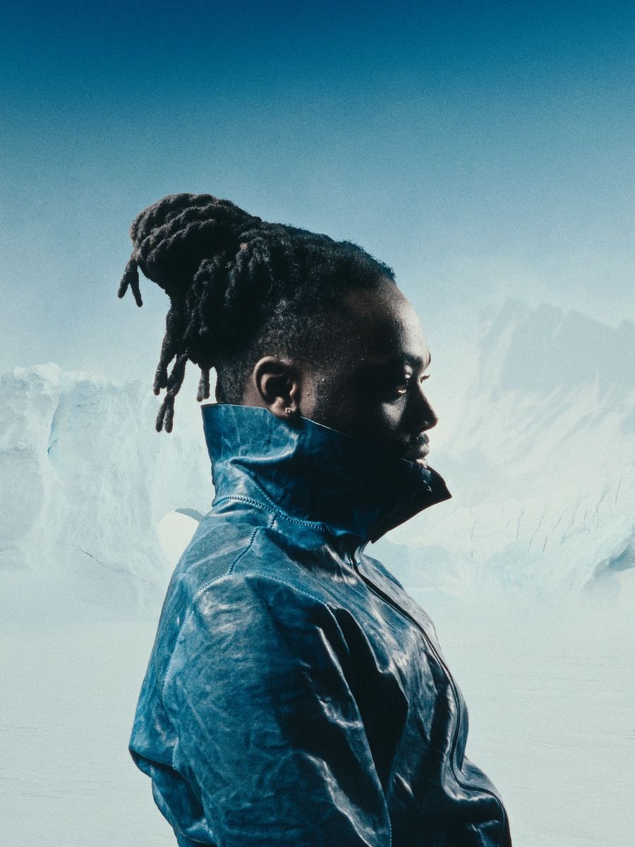 Squidji Antarctique album cover press