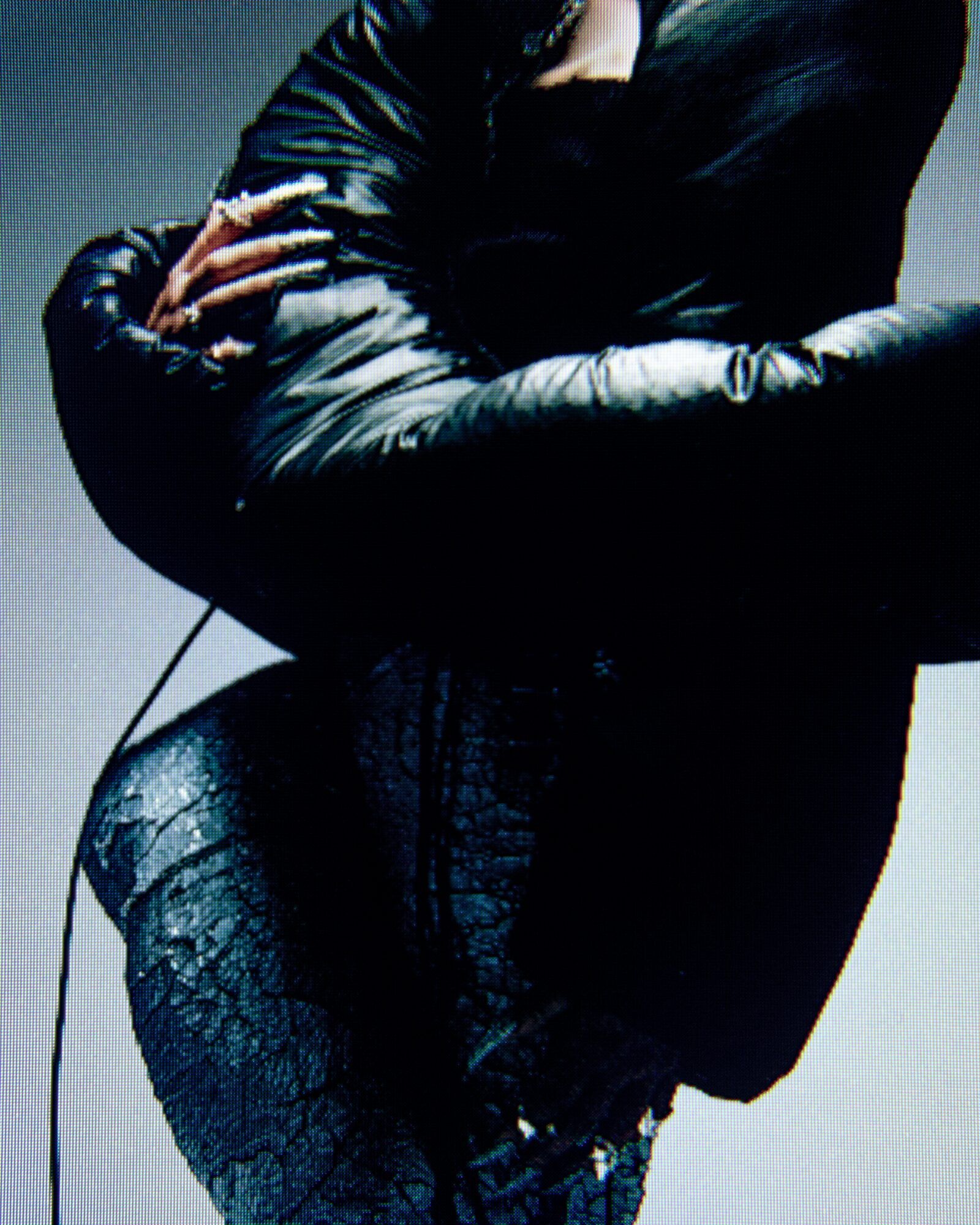 c41 fashion editorial antwerp designer