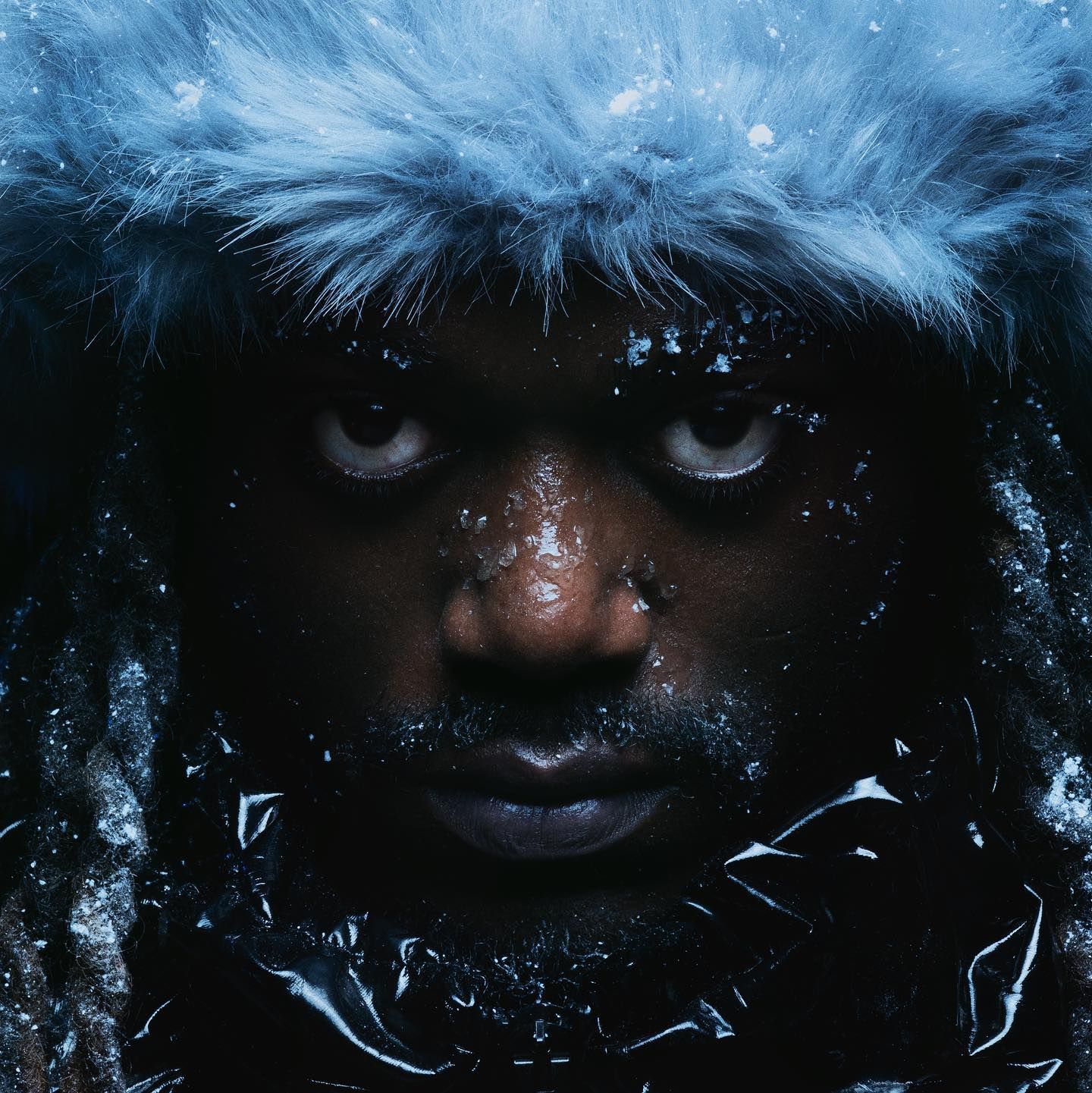 Squidji — Antarctique