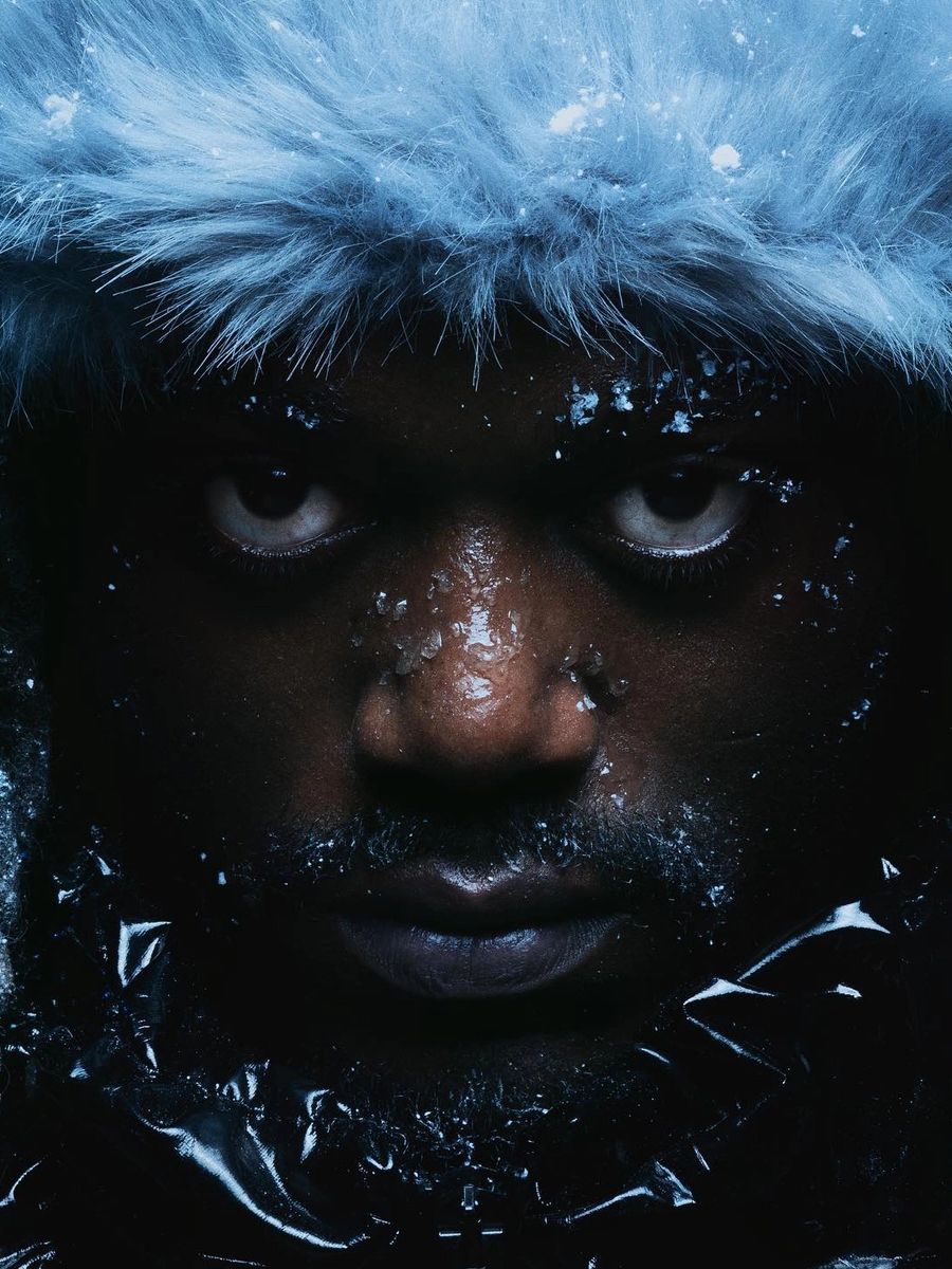 Squidji Antarctique album cover press