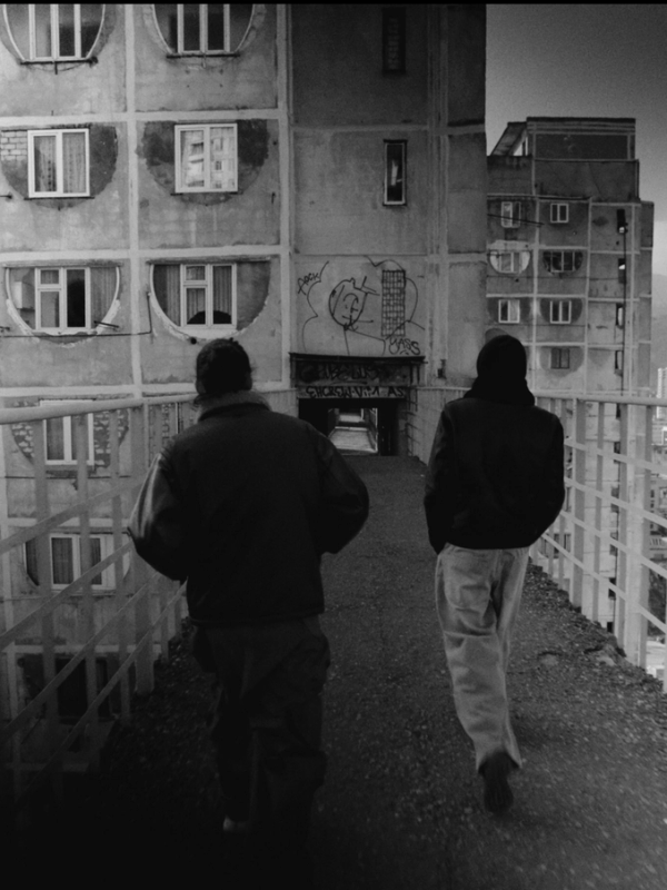 NeS — Chevalier Citadin