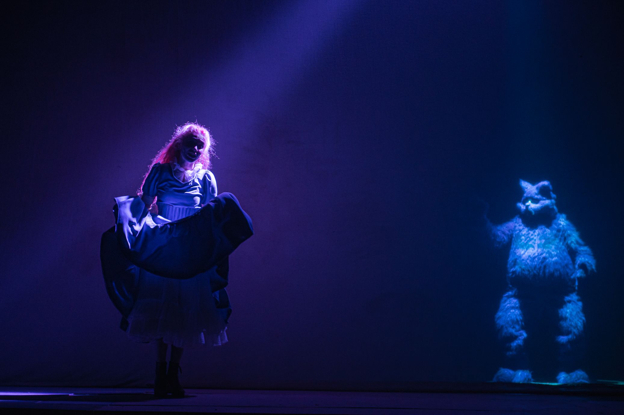 Alicia, el Musica — foto 4