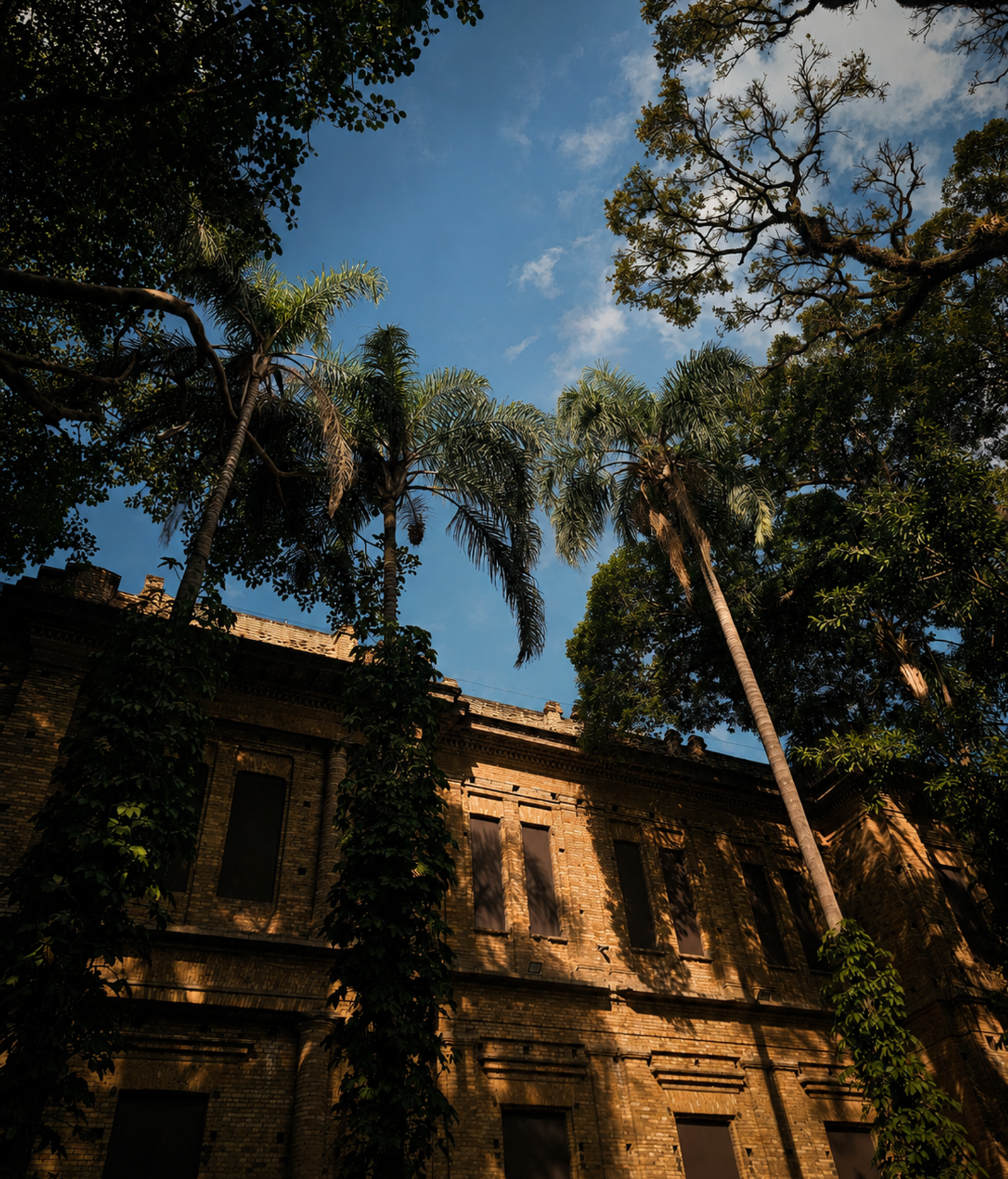 Bom Retiro #01