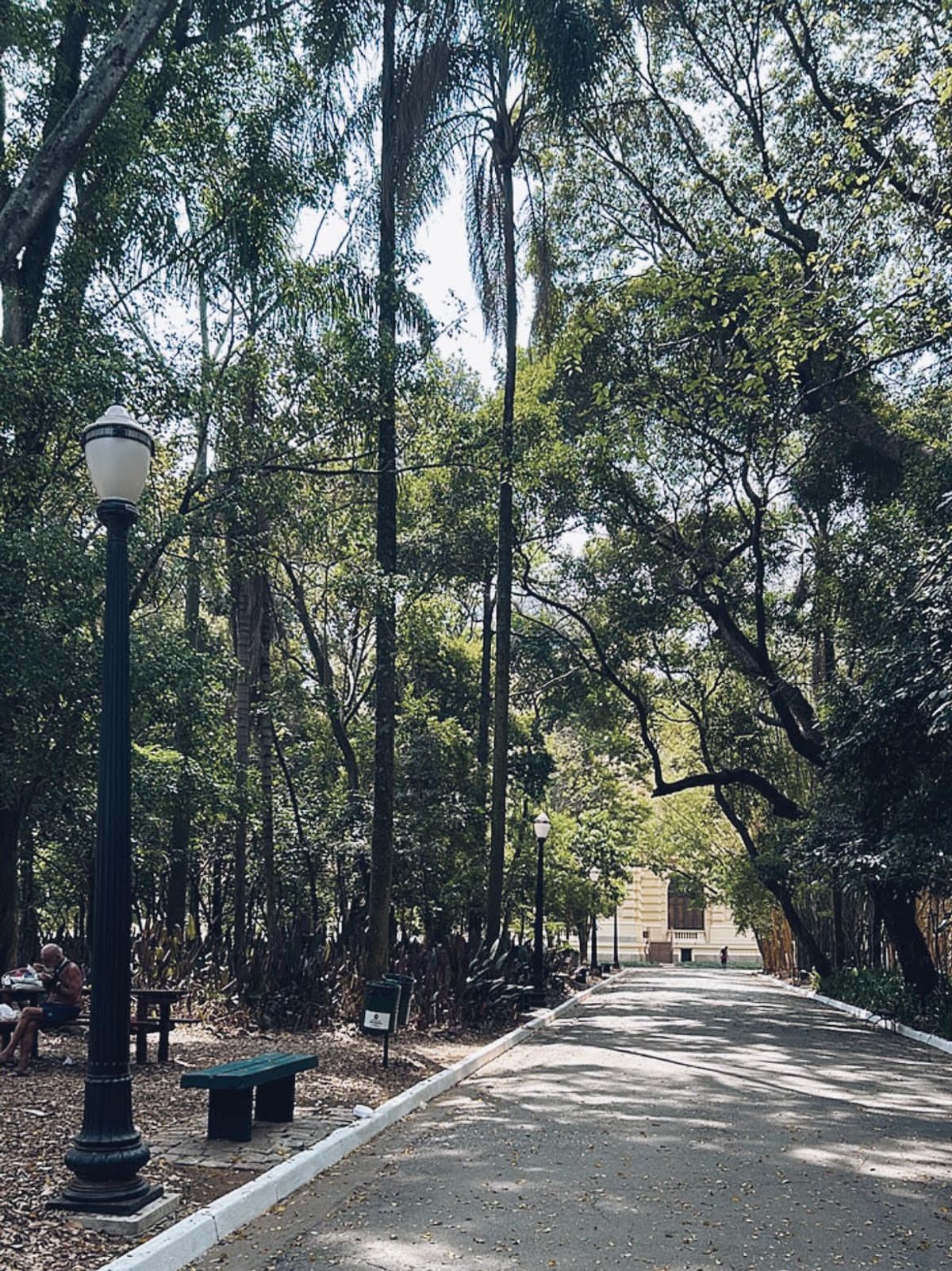 “Parque dos Gatos”