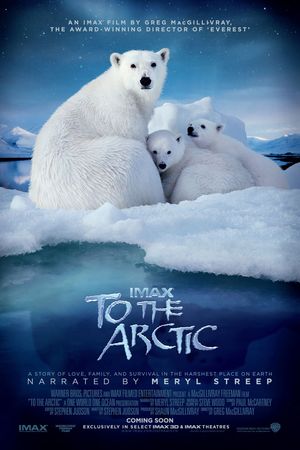 To The Arctic movie poster