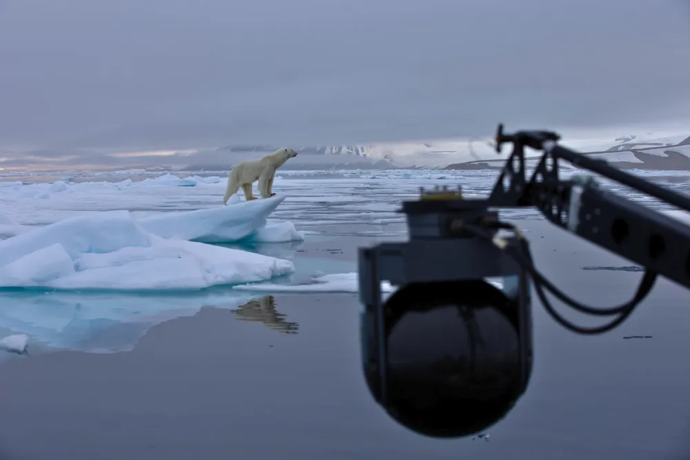 A polar bear balances on drifting sea ice in the Arctic Ocean, perfectly framed by a professional stabilized camera rig in the foreground. Captured near Svalbard by PolarX, this image exemplifies high-stakes wildlife cinematography and the power of filming real Arctic wilderness in its natural, raw beauty.
