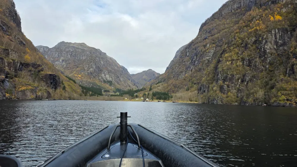 A view from the RIB boat in Hardangerfjord, showing dark rock cliffs with thin waterfalls trickling down into calm, reflective water. The autumn landscape and rugged mountains in the distance capture the raw beauty of Western Norway.