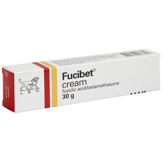 Fucibet Cream​​​​‌﻿‍﻿​‍​‍‌‍﻿﻿‌﻿​‍‌‍‍‌‌‍‌﻿‌‍‍‌‌‍﻿‍​‍​‍​﻿‍‍​‍​‍‌﻿​﻿‌‍​‌‌‍﻿‍‌‍‍‌‌﻿‌​‌﻿‍‌​‍﻿‍‌‍‍‌‌‍﻿﻿​‍​‍​‍﻿​​‍​‍‌‍‍​‌﻿​‍‌‍‌‌‌‍‌‍​‍​‍​﻿‍‍​‍​‍​‍﻿﻿‌﻿​﻿‌﻿‌​‌﻿‌‌‌‍‌​‌‍‍‌‌‍﻿﻿​‍﻿﻿‌‍‍‌‌‍﻿‍‌﻿‌​‌‍‌‌‌‍﻿‍‌﻿‌​​‍﻿﻿‌‍‌‌‌‍‌​‌‍‍‌‌﻿‌​​‍﻿﻿‌‍﻿‌‌‍﻿﻿‌‍‌​‌‍‌‌​﻿﻿‌‌﻿​​‌﻿​‍‌‍‌‌‌﻿​﻿‌‍‌‌‌‍﻿‍‌﻿‌​‌‍​‌‌﻿‌​‌‍‍‌‌‍﻿﻿‌‍﻿‍​﻿‍﻿‌‍‍‌‌‍‌​​﻿﻿‌​﻿​‌​﻿​﻿​﻿​‌​﻿​﻿​﻿​﻿​﻿‍﻿‌﻿‌​‌﻿‍‌‌﻿​​‌‍‌‌​﻿﻿‌‌﻿‌​‌﻿​‍‌‍‌‌‌‍​‌‌﻿‌​‌‍﻿‌‌‍‌‌‌‍﻿‍‌﻿‌​​﻿‍﻿‌﻿​​‌‍​‌‌﻿‌​‌‍‍​​﻿﻿‌‌﻿‌​‌‍‍‌‌﻿‌​‌‍﻿​‌‍‌‌​﻿﻿﻿‌‍​‍‌‍​‌‌﻿​﻿‌‍‌‌‌‌‌‌‌﻿​‍‌‍﻿​​﻿﻿‌​‍‌‌​﻿​‍‌​‌‍‌﻿​﻿‌﻿‌​‌﻿‌‌‌‍‌​‌‍‍‌‌‍﻿﻿​‍‌‍‌‍‍‌‌‍‌​​﻿﻿‌​﻿​‌​﻿​﻿​﻿​‌​﻿​﻿​﻿​﻿​‍‌‍‌﻿‌​‌﻿‍‌‌﻿​​‌‍‌‌​﻿﻿‌‌﻿‌​‌﻿​‍‌‍‌‌‌‍​‌‌﻿‌​‌‍﻿‌‌‍‌‌‌‍﻿‍‌﻿‌​​‍‌‍‌﻿​​‌‍​‌‌﻿‌​‌‍‍​​﻿﻿‌‌﻿‌​‌‍‍‌‌﻿‌​‌‍﻿​‌‍‌‌​‍​‍‌﻿﻿‌