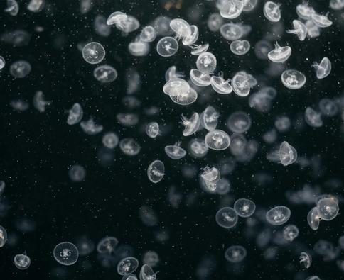 An new inte
resting guide to read.