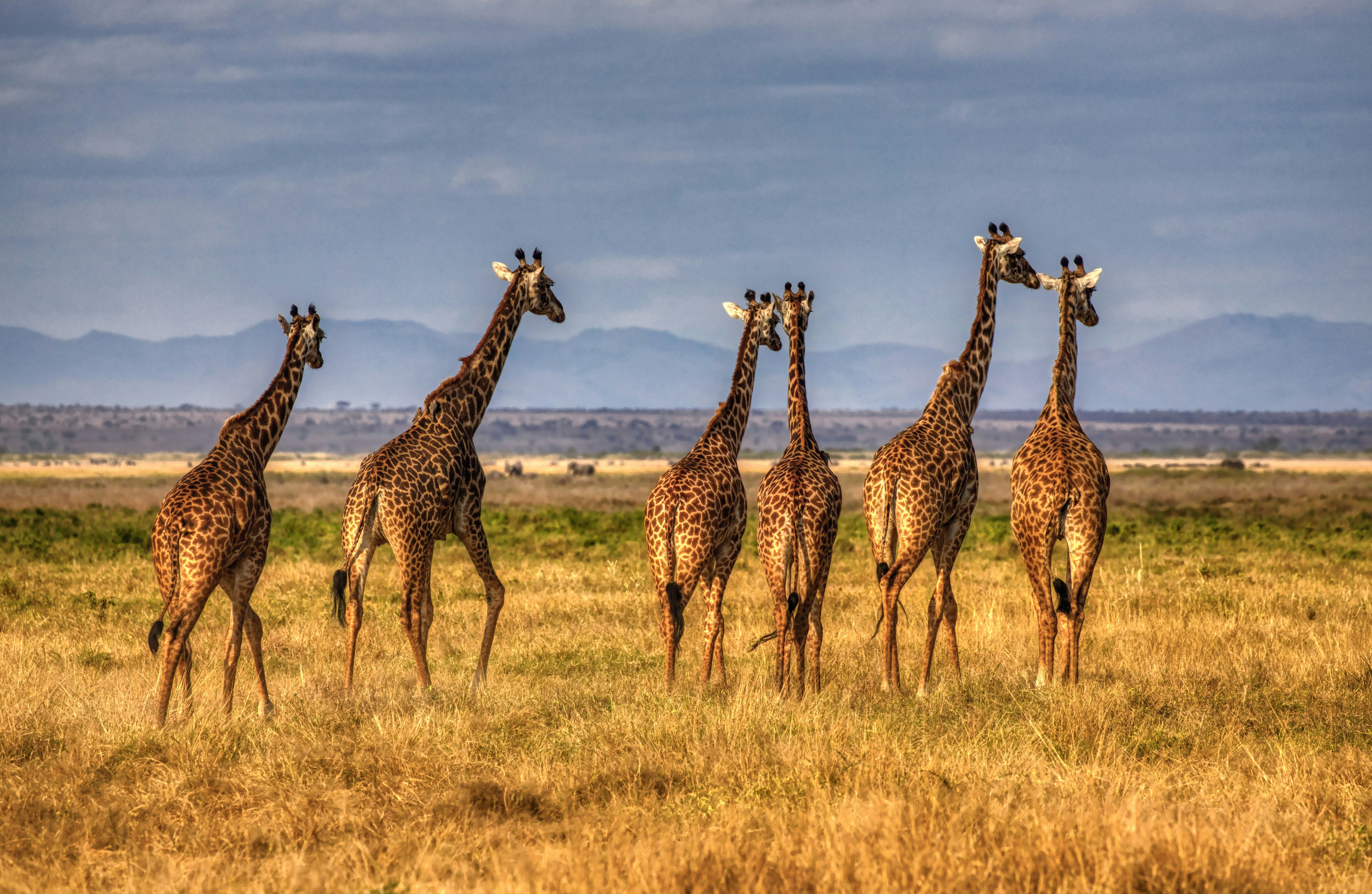 Tarangire National Park