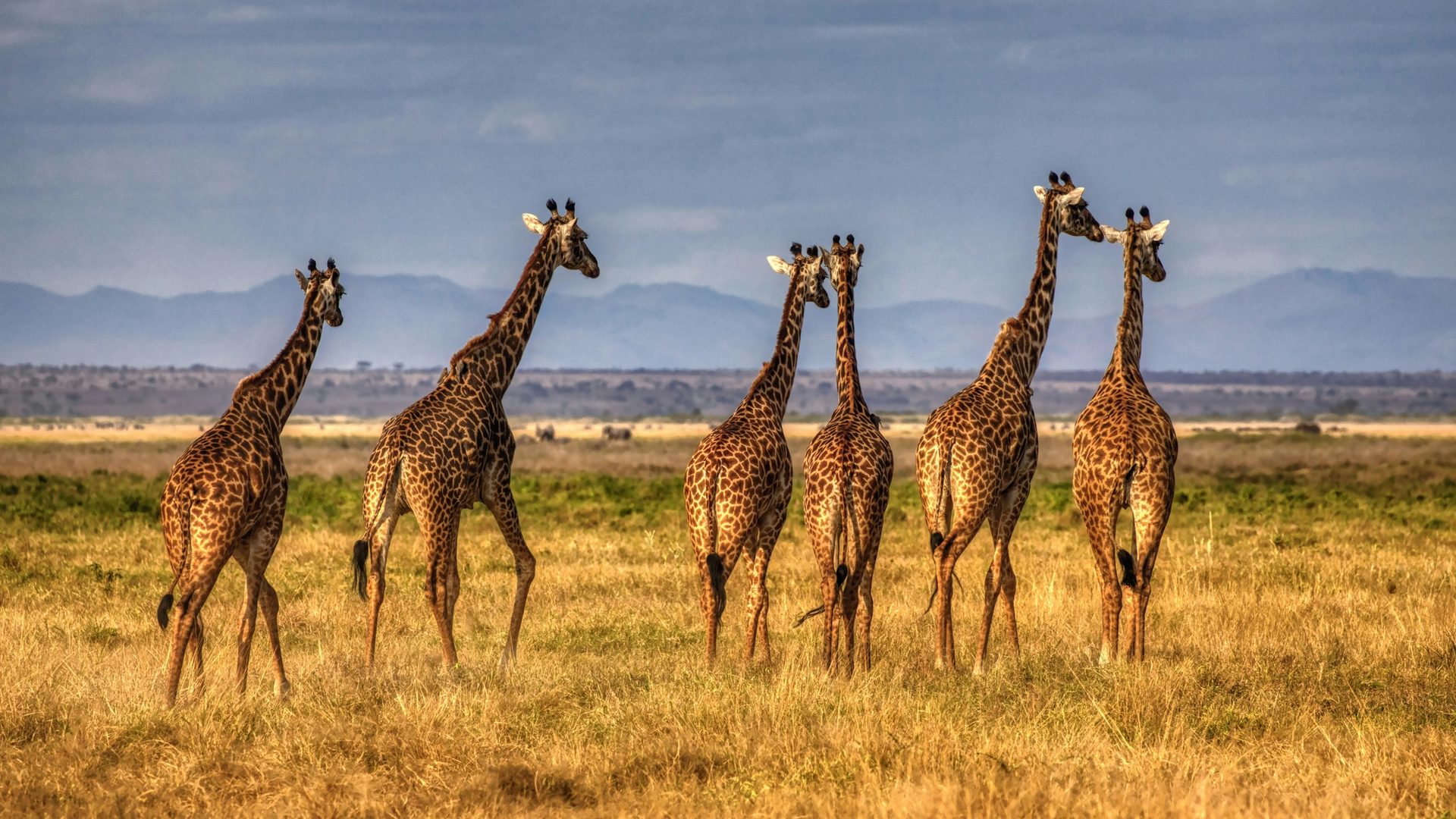 Is Tanzania Safe? Essential Safety Tips for Discerning Travelers