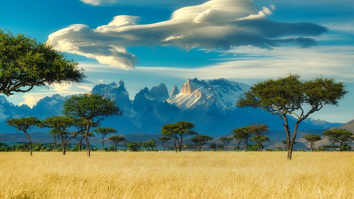Tanzania Serengeti Migration and Big 5 Luxury