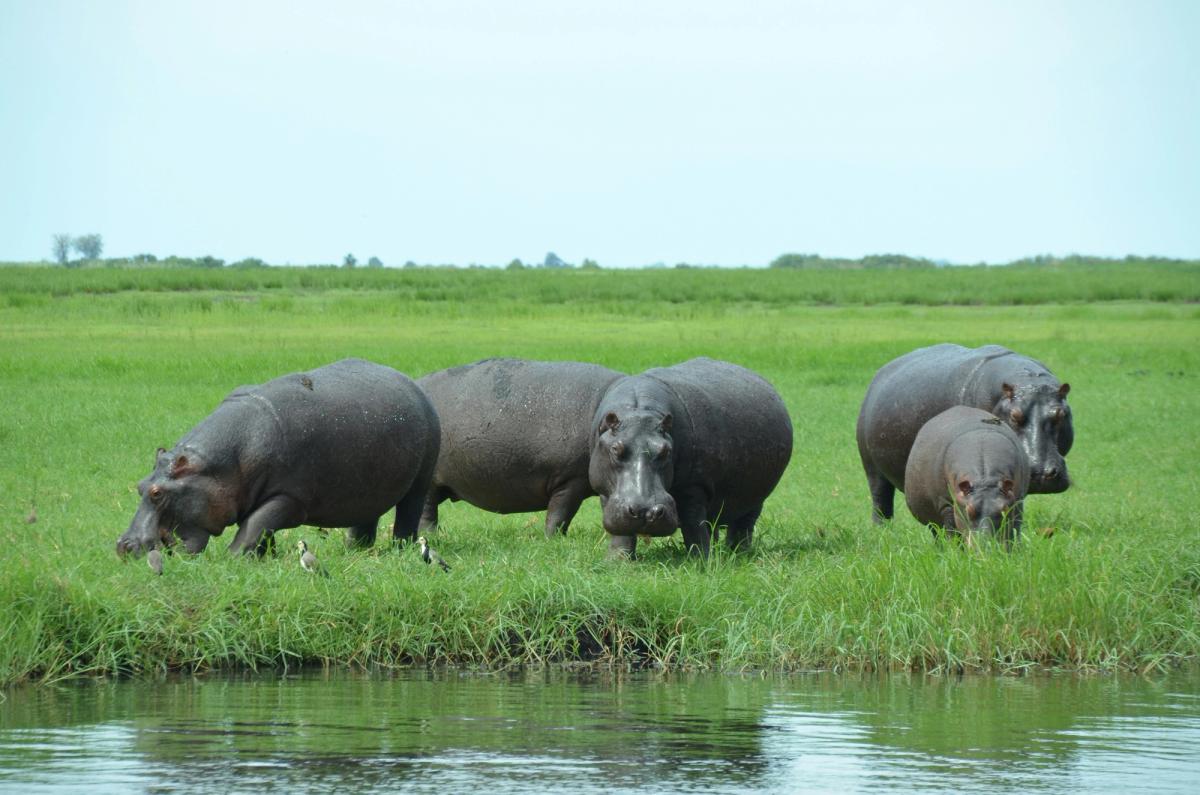 Katavi National Park