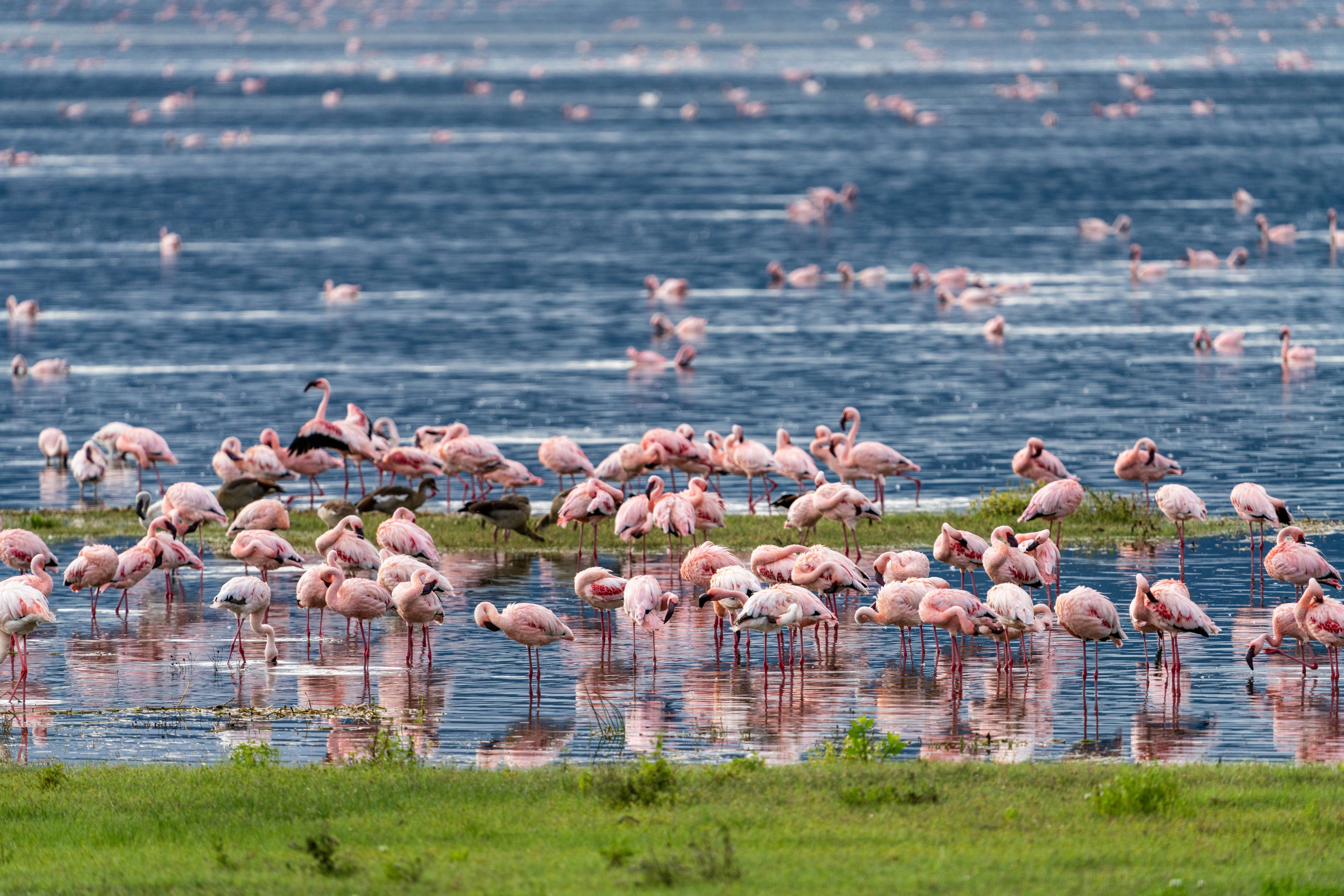 Ngorongoro Crater