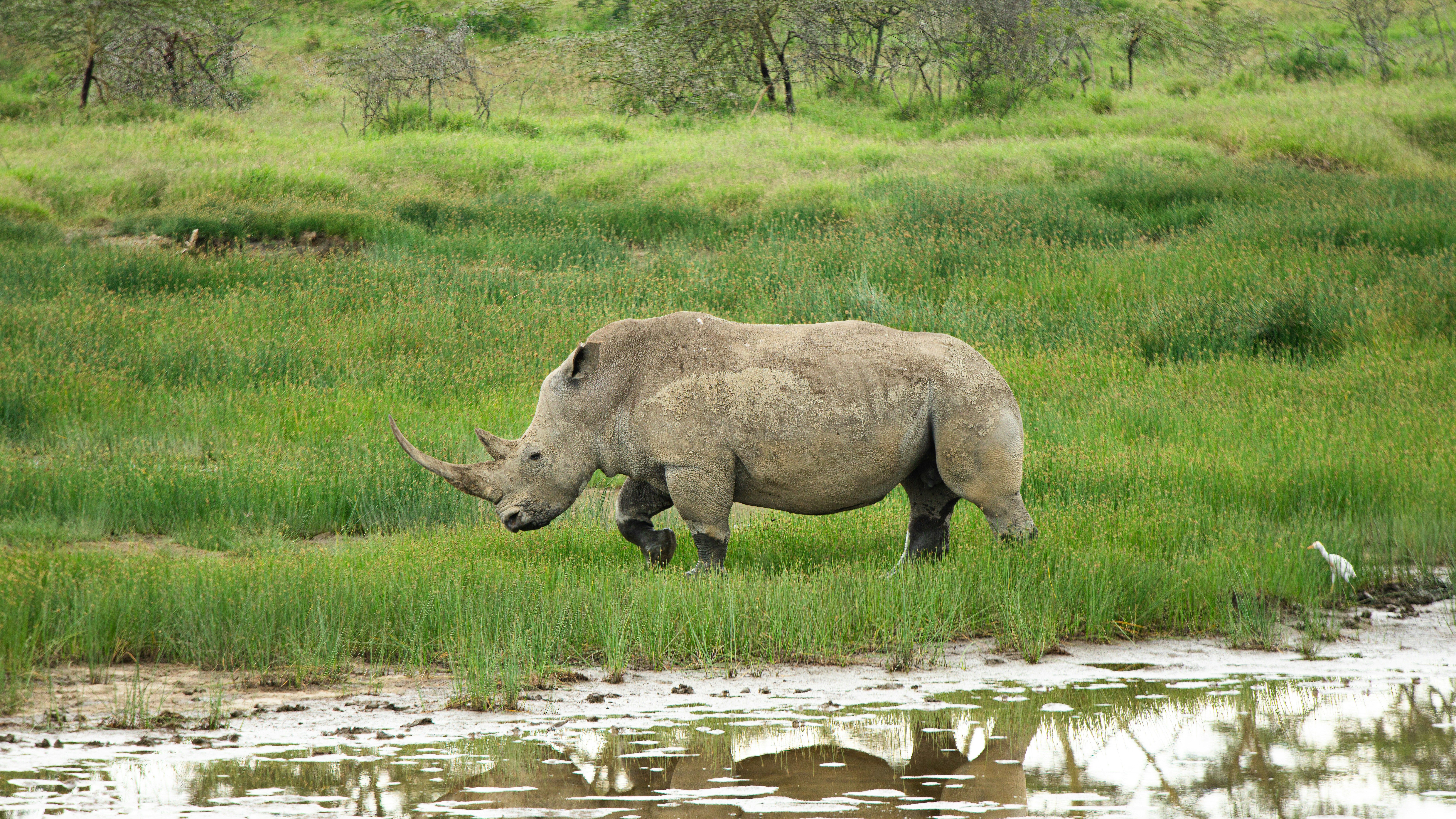 Mkomazi National Park