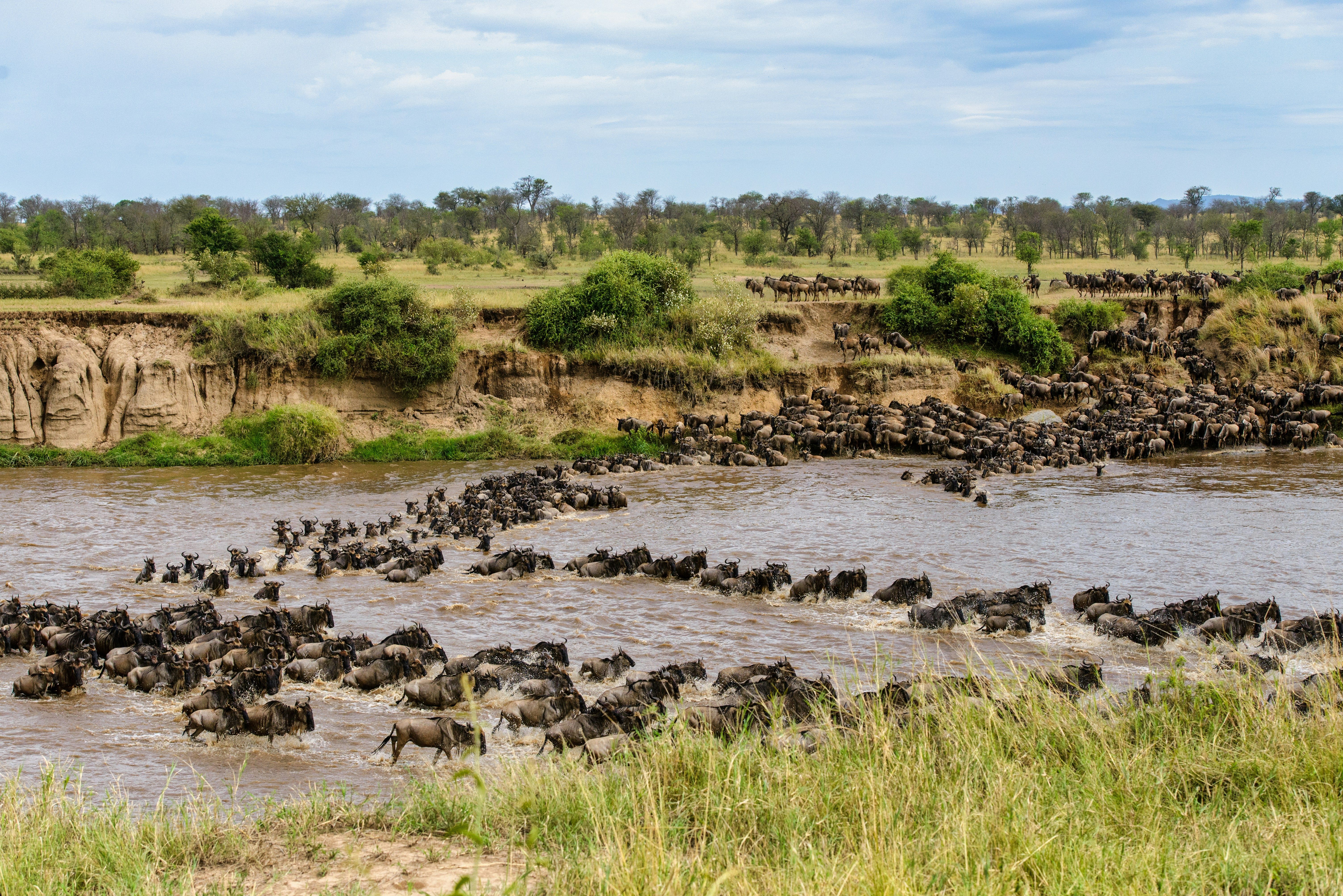 Serengeti National Park