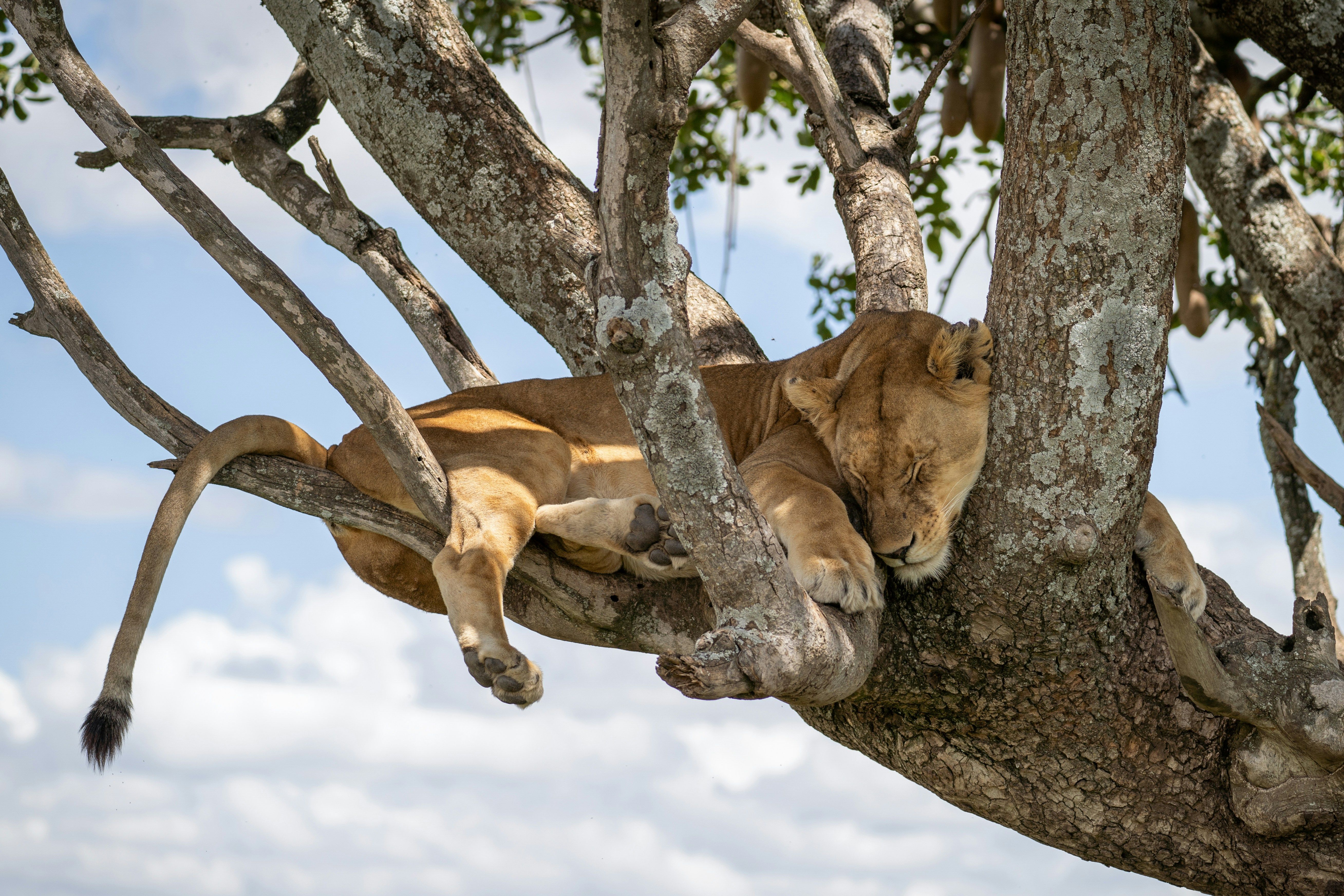 Lake Manyara National Park