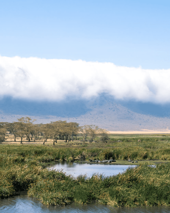 9-Day Best of Northern Tanzania Circuit