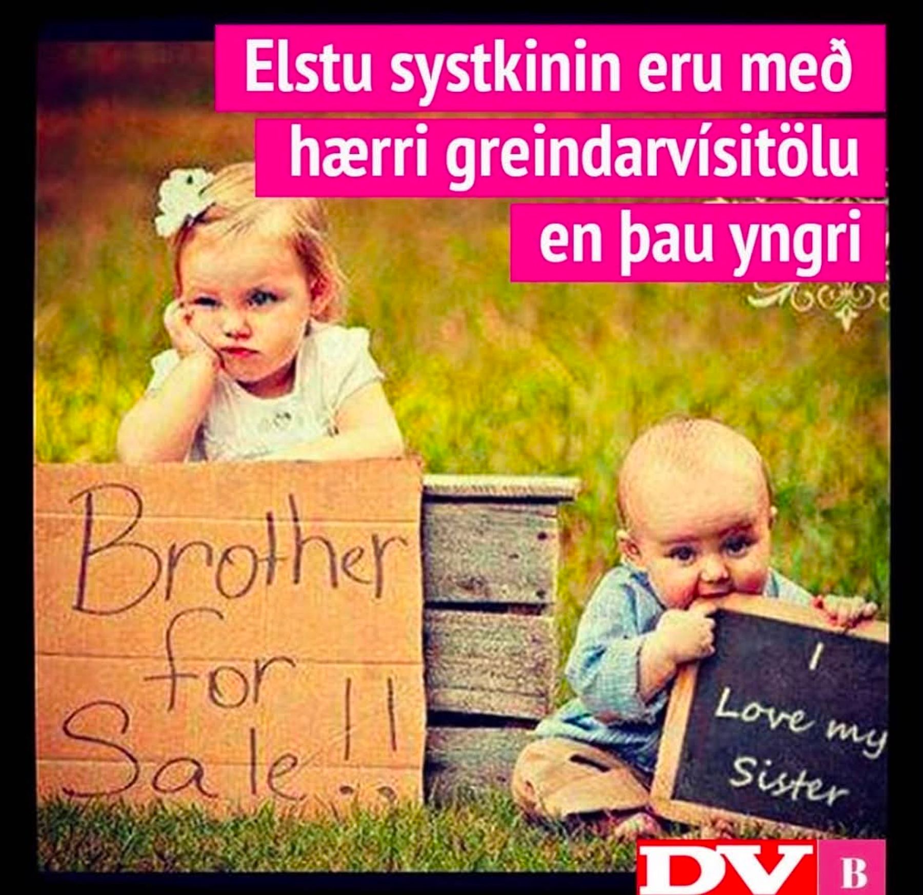 Eitthvað til í þessu? að minnskta kosti góð myndbygging