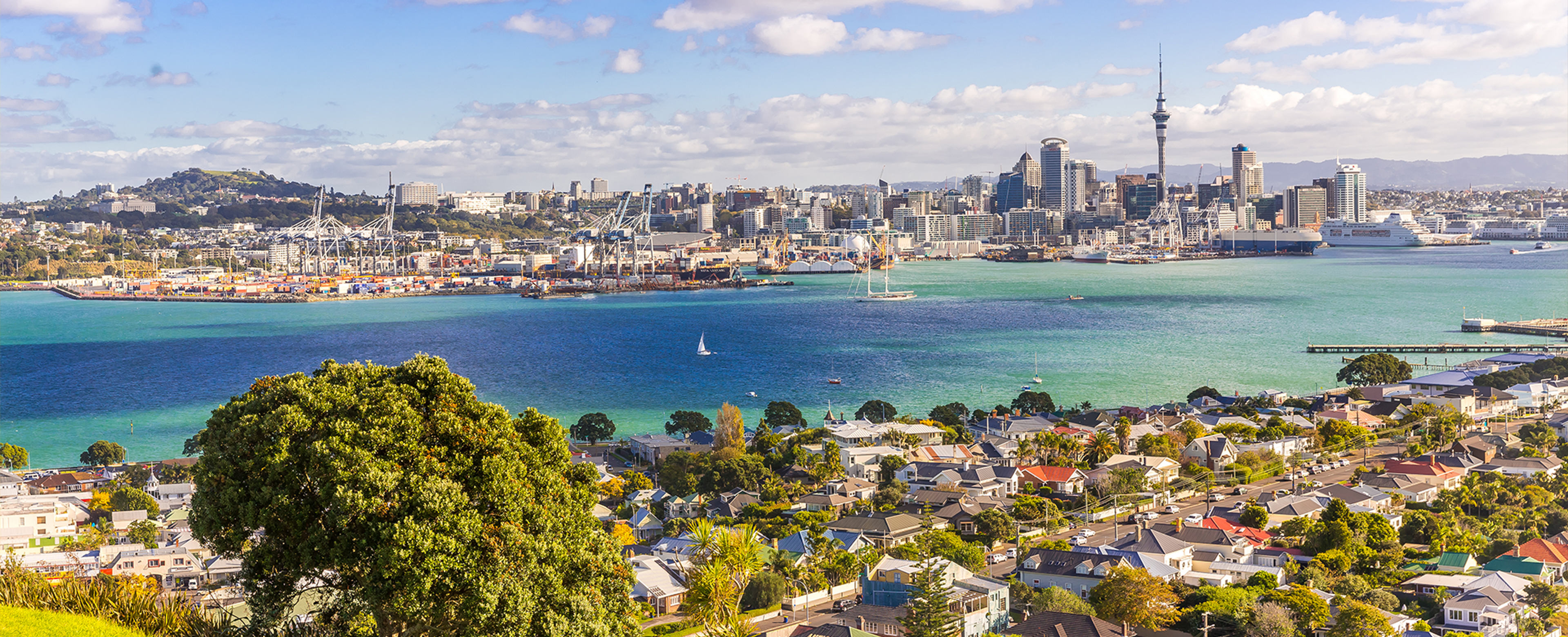 Auckland Holiday Packages